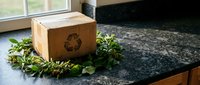 Eco-friendly cardboard delivery box with recycling symbol surrounded by fresh green plants on dark granite countertop near window for sustainable packaging.