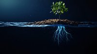 Young green plant growing in soil with glowing blue roots underwater against dark background, symbolizing growth, adaptation and resilience in nature.
