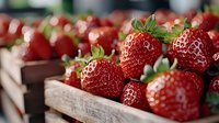 Fresh ripe strawberries in rustic wooden crate, macro view showing detailed texture of juicy red berries with green leaves, selective focus for food design.