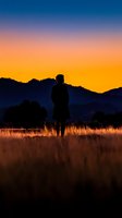 Silhouette of a man standing in golden grassland at sunset with mountains in background, ideal for motivational and inspirational concepts.