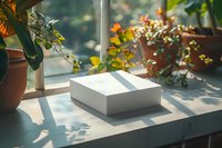 White gift box on sunny windowsill with potted plants casting natural shadows, creating cozy home atmosphere perfect for lifestyle, celebration and interior design projects.