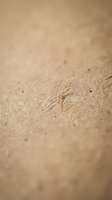Close-up of bird footprints in smooth sand with shallow depth of field creating soft blurred background for nature and wildlife concepts.