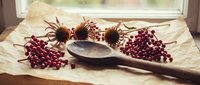 Dried rowan berries and seed heads arranged with wooden spoon on rustic surface near window, suitable for autumn styling, food photography, and seasonal design projects.