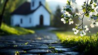 Stone path leading to white rural church with blooming dogwood branches framing scene, soft morning light creates peaceful spiritual atmosphere.