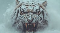 Fierce white tiger snarling with bared fangs in snowy winter environment, powerful wild cat predator showing aggressive expression for wildlife and nature projects.