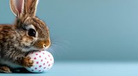 Adorable brown bunny rabbit with Easter egg decorated in pink polka dots against blue background, side view close-up portrait. Perfect for holiday designs.