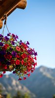 Colorful petunia flowers in hanging basket on wooden beam against mountain landscape and blue sky background for garden decoration and outdoor living spaces.