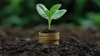 Young green plant growing from golden coins stack in soil, symbolizing financial growth and sustainable investment for business concepts.