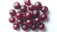 Fresh ripe dark red cherries with water drops arranged on white background, macro food photography for healthy eating and summer harvest concept.