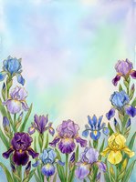 Watercolor iris flowers in purple, blue, and yellow blooms with green stems arranged on soft pastel gradient background, suitable for greeting cards and botanical artwork.