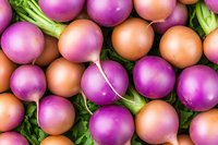 Fresh purple and orange turnips arranged in colorful pattern with green leaves, macro food photography showing vibrant organic produce for healthy eating concept.