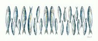 Watercolor sardines and anchovies arranged in rows on white background, isolated marine fish illustration for seafood restaurant menus and culinary designs.