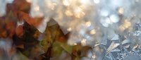 Autumn leaves with warm bokeh lights and frost crystals creating magical seasonal atmosphere for holiday decorations and winter celebrations.