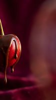 Fresh strawberry covered in rich melted chocolate dripping down against burgundy background for dessert and confectionery advertising.