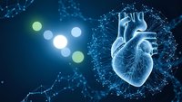 Digital heart anatomy with glowing network connections on blue background for medical technology and healthcare innovation concepts.