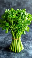 Fresh bunch of green parsley tied with twine stands upright on dark textured surface, vibrant leaves and stems create natural bouquet against moody background.