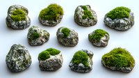 Natural stones with bright green moss growing on top arranged on white background, isolated objects for garden design and landscaping elements.