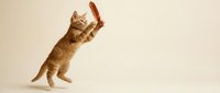 Orange tabby kitten jumping and reaching upward with paws extended against clean beige background for pet advertising and animal behavior concepts.