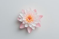 Delicate paper water lily flower in soft pink and white tones with layered petals on light gray background, isolated craft object for decorative design.