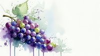 Watercolor grape cluster with purple and blue berries, green leaves and paint splatters on white background for wine, food and beverage designs.