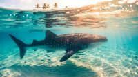 Majestic whale shark swimming in crystal clear tropical waters with palm trees and golden sunlight filtering through the surface creating magical underwater scene.