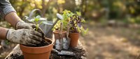 Gardener hands in gloves planting seedlings in terracotta pots outdoors with watering can and garden tools on wooden surface during spring gardening season.