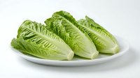 Fresh romaine lettuce hearts arranged on white plate, crisp green leaves perfect for salads, cooking and healthy meal preparation on clean background.