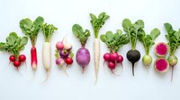 Fresh colorful radishes with green leaves arranged in row on white background. Organic root vegetables for healthy cooking and farm-to-table cuisine.