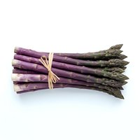 Fresh purple asparagus bunch tied with twine, isolated on white background. Suitable for culinary, food styling, recipe development, restaurant menus, organic produce marketing, and healthy eating content.