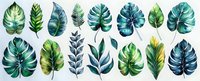Watercolor tropical leaves collection in green and blue tones, featuring monstera, palm, and botanical foliage for nature-inspired designs.