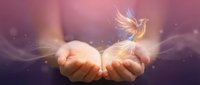 Cupped hands releasing golden dove with glowing light rays and ethereal particles, symbolizing freedom, hope, spirituality and new beginnings.
