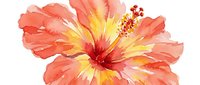 Watercolor hibiscus flower in coral and yellow tones isolated on white background for tropical design projects and summer decorations.