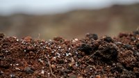 Rich dark soil with organic matter and small rocks scattered across agricultural field ready for planting crops in farming landscape.