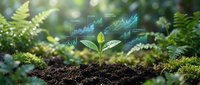 Young green plant seedling growing from rich soil with digital financial growth chart overlay representing sustainable investment and eco-friendly business development.