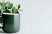 Green ceramic mug with succulent plant against white background, minimalist composition with soft natural lighting and selective focus for modern lifestyle content.