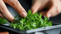 Fresh dill being chopped on black cutting board, close up view of hands preparing aromatic herbs in kitchen. Culinary herbs and cooking preparation.