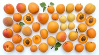 Assorted fresh apricots and peaches arranged on white background, whole fruits and cross-sections showing pits, suitable for food packaging, recipe blogs, and culinary design projects.