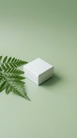 White gift box with fern leaf on soft green background, minimal eco style for product mockup, packaging design, and natural branding.