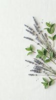 Fresh lavender sprigs and mint leaves arranged on neutral textured background for natural wellness and aromatherapy concepts with copy space.