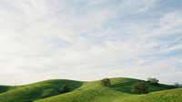 Rolling green hills with scattered trees under a partly cloudy sky, suitable for landscape, nature, and environmental design projects.