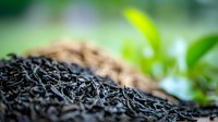 Macro shot of dried black tea leaves with fresh green tea plant leaves in soft focus background, showing texture and detail of loose leaf tea.
