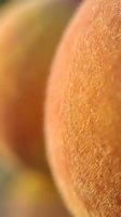 Close-up of human skin texture showing pores and natural surface details with warm peachy tones, suitable for dermatology, skincare, and cosmetics marketing materials.