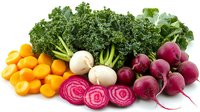 Fresh organic vegetables arranged in rows including kumquats, white turnips, curly kale, sliced beets and whole red beets on white background for healthy eating concept.