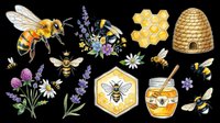Honey bee collection with lavender flowers, honeycomb, beehive, and jar of honey isolated on transparent background. Ready for t-shirt design, clipart, stickers, sublimation, and print-on-demand products.