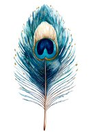 Isolated peacock feather with blue and cream tones, featuring characteristic eye marking. Watercolor style artwork on transparent background, ready for design projects, textiles, and decorative applications.