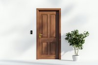 Classic wooden door with brass handle against white wall, decorative potted plant adds natural element. Interior design and home entrance concept.