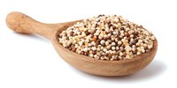Mixed quinoa grains in wooden spoon isolated on white background, nutritious gluten-free superfood for healthy cooking and dietary meals.