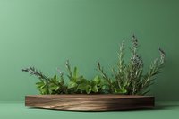 Fresh herbs growing in wooden planter box against green background for culinary cooking and gardening concepts.