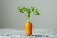 Fresh organic carrot with green leaves standing upright on light gray concrete background, minimalist food photography composition for healthy eating concept.