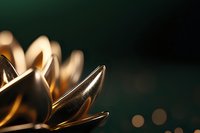 Golden metallic lotus flower petals in dramatic lighting against dark background, creating elegant abstract composition with soft bokeh effect and selective focus.